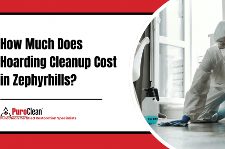 hoarding cleanup cost