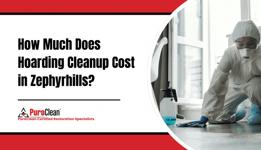 hoarding cleanup cost