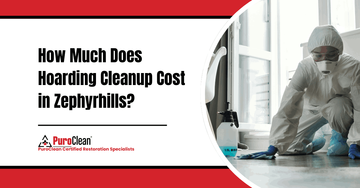 How Much Does Hoarding Cleanup Cost in Zephyrhills?