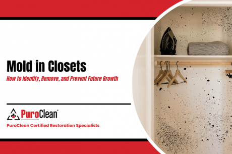 Mold in Closets