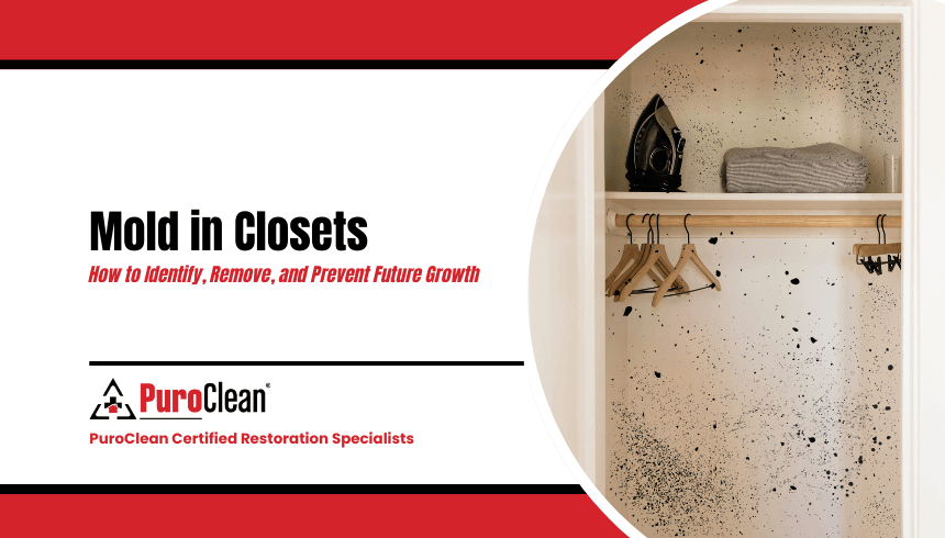 Mold in Closets: How to Identify, Remove, and Prevent Future Growth
