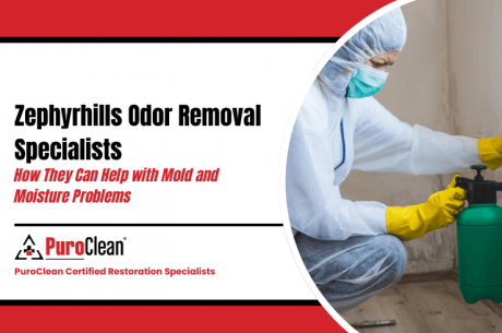 odor removal specialist