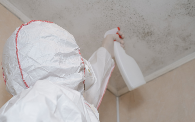 Signs of an Allergic Reaction to Mold When Cleaning Your Home 1