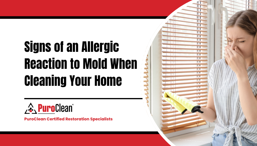 Signs of an Allergic Reaction to Mold When Cleaning Your Home