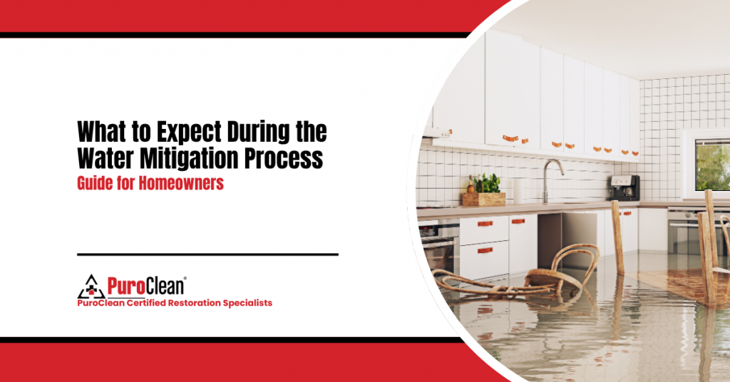 What to Expect During the Water Mitigation Process Guide for Homeowners