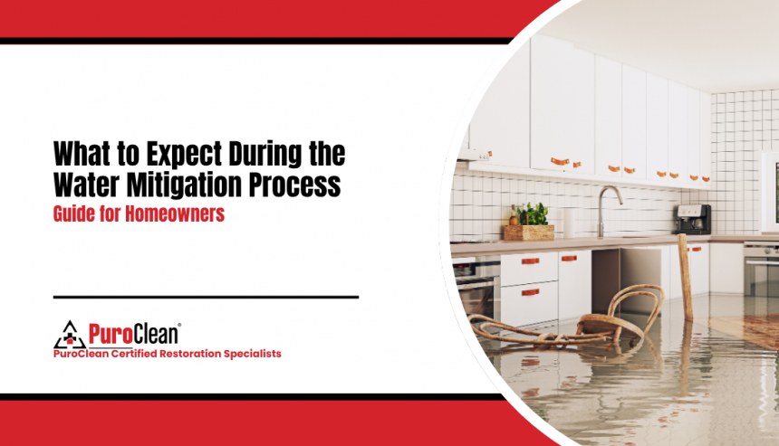 What to Expect During the Water Mitigation Process Guide for Homeowners