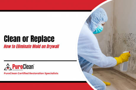 Clean or Replace How to Eliminate Mold on Drywall1