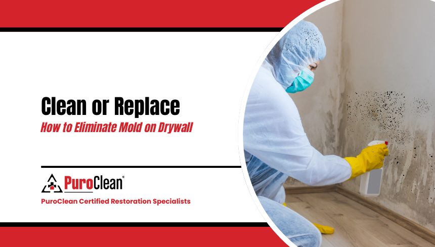 Clean or Replace: How to Eliminate Mold on Drywall