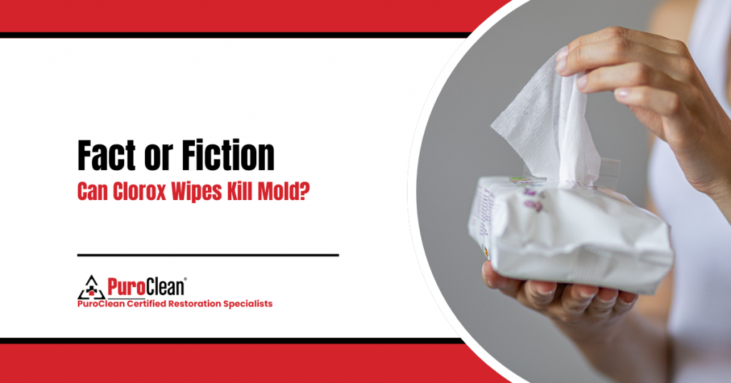 Fact or Fiction Can Clorox Wipes Kill Mold