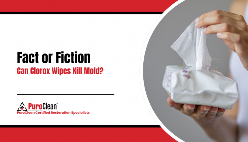Fact or Fiction Can Clorox Wipes Kill Mold