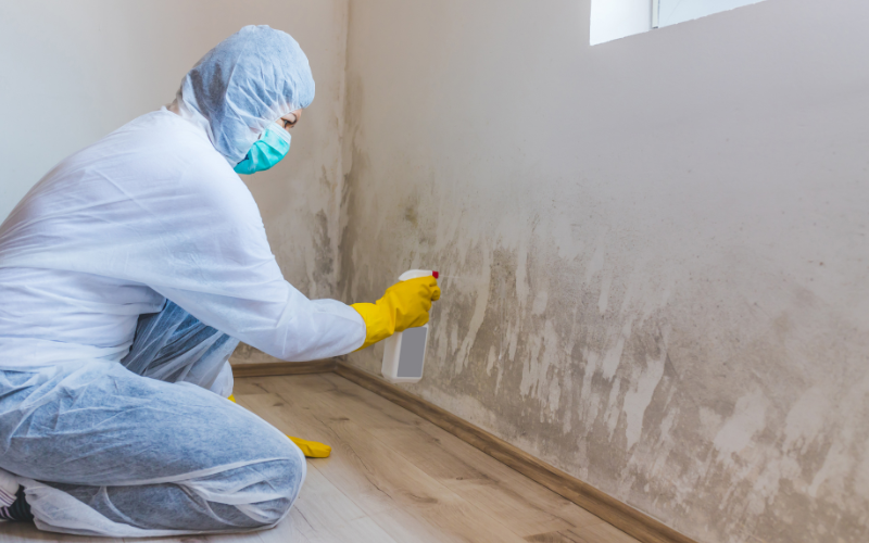 Fact or Fiction Can Clorox Wipes Kill Mold