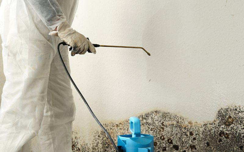 How to Spot Mold Behind a Refrigerator Quickly 1