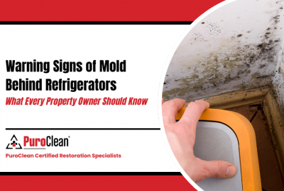How to Spot Mold Behind a Refrigerator Quickly
