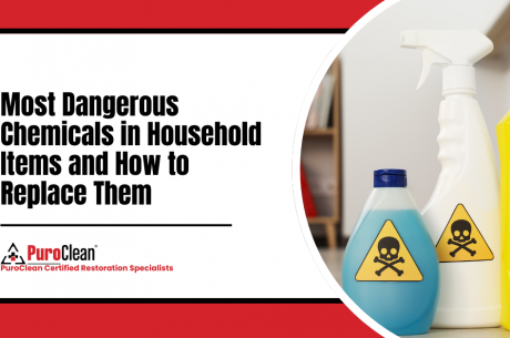 Most Dangerous Chemicals in Household Items and How to Replace Them