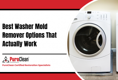 Best Washer Mold Remover Options That Actually Work