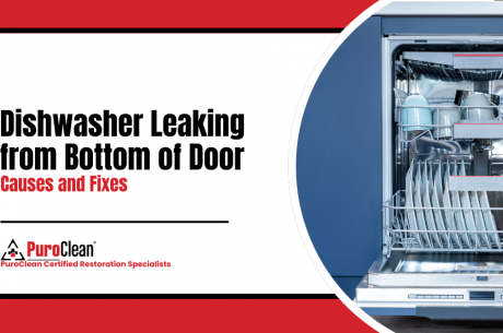 Dishwasher Leaking from Bottom of Door Causes and Fixes