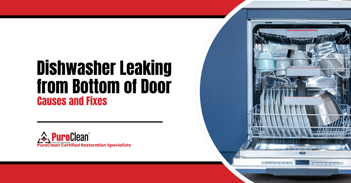 Dishwasher Leaking from Bottom of Door: Causes and Fixes