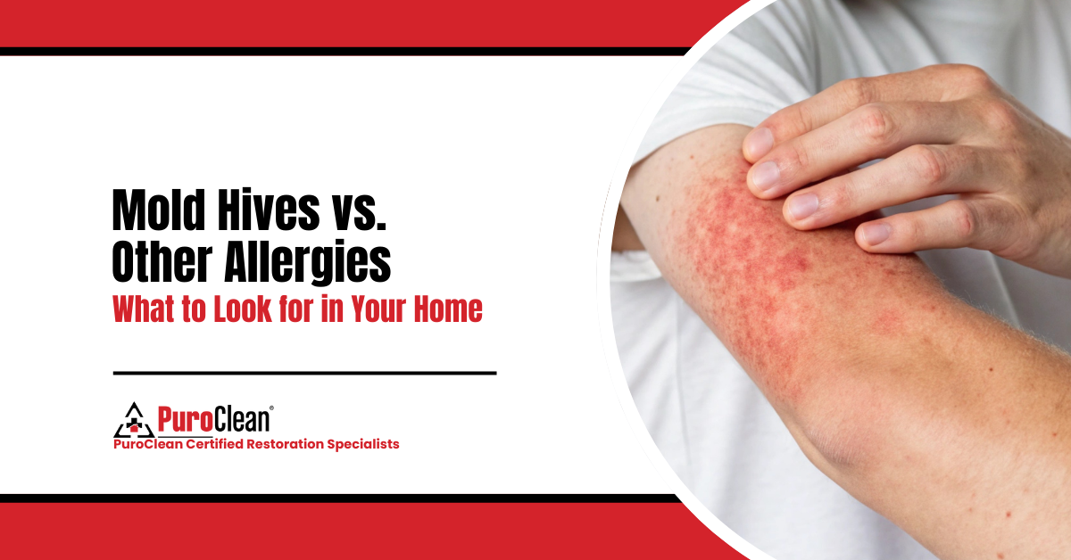 Mold Hives vs. Other Allergies: What to Look for in Your Home