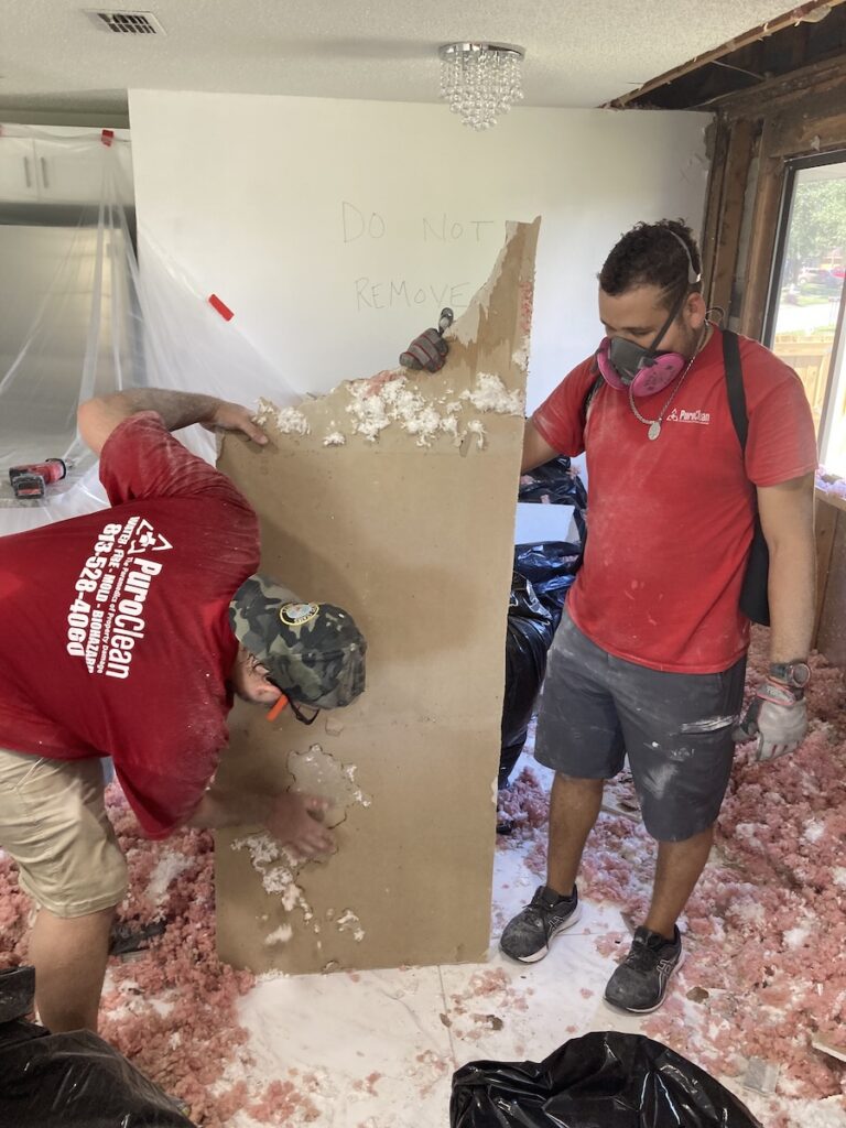 termite demolition work