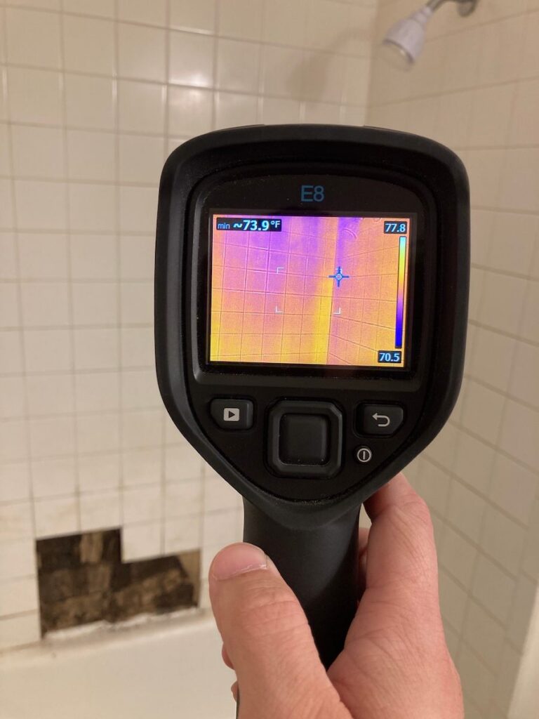 mold growth