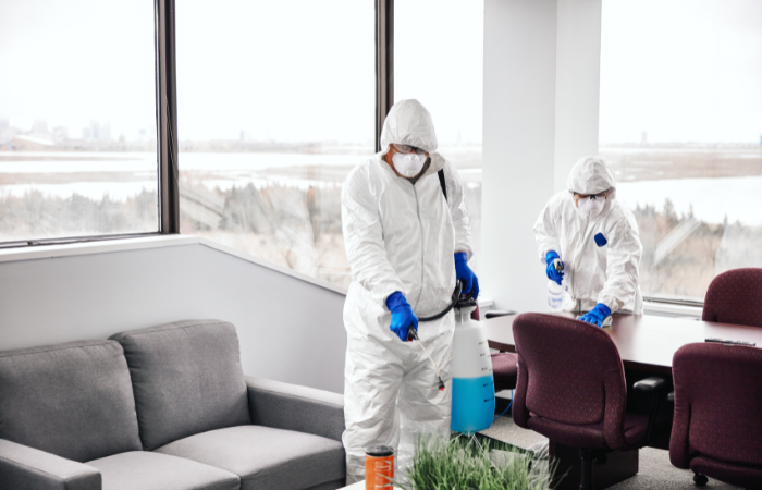 coronavirus cleanup in zephyrhills