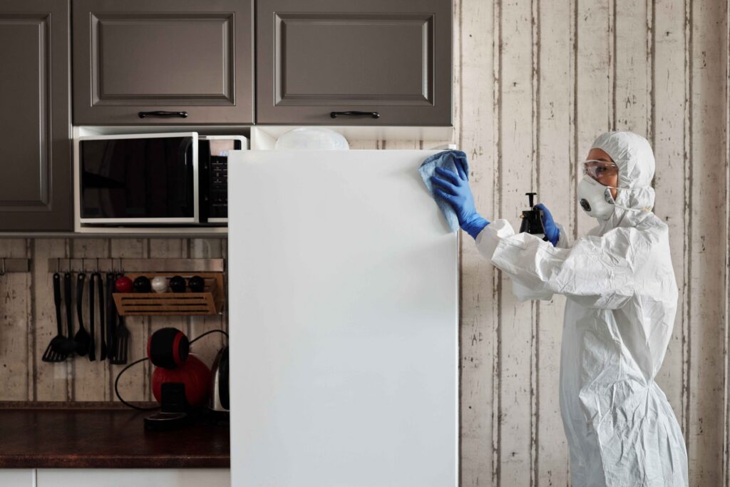 mold removal services near me