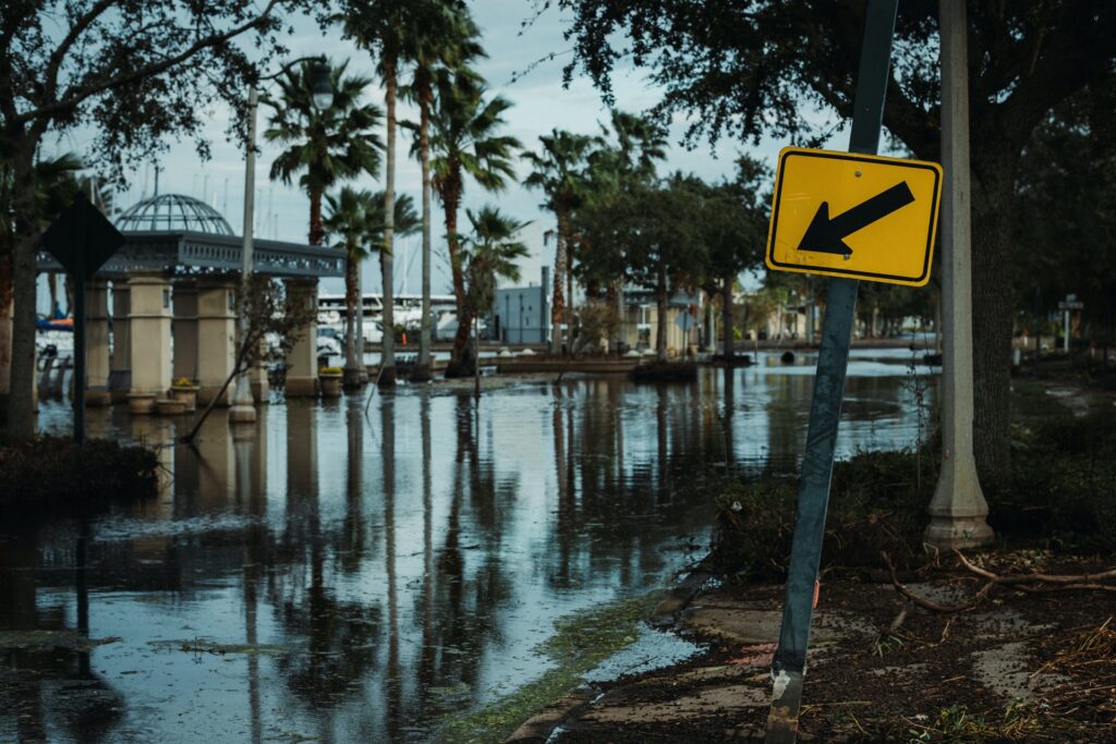 water damaged services near me in zephyrhills