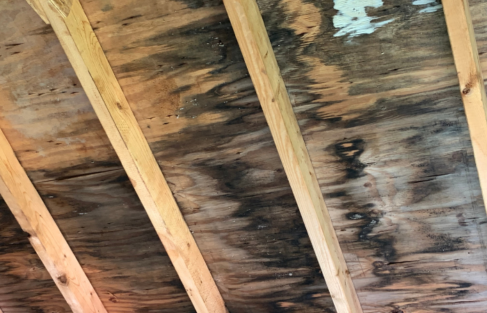 attic prevention techniques for plywood