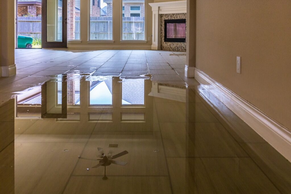 best water damage restoration process in zephyrhills