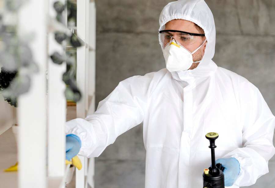 mold removal service zephyrhills fl