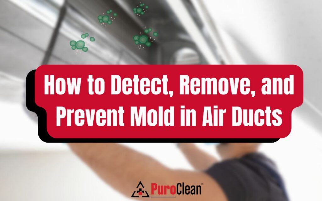 mold in air ducts