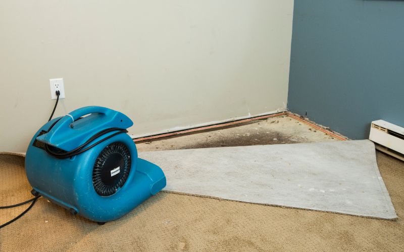 Expert Basement Flood Cleanup Services in Zephyrhills: Fast and Reliable Solutions