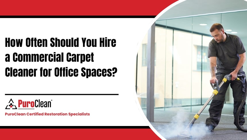 How Often Should You Hire a Commercial Carpet Cleaner for Office Spaces?