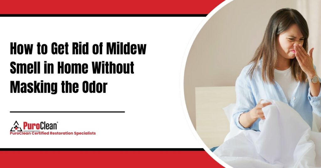 How to Get Rid of Mildew Smell in Home Without Masking the Odor
