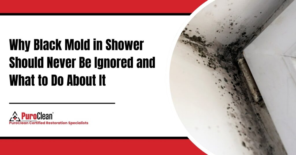 Why Black Mold in Shower Should Never Be Ignored and What to Do About It