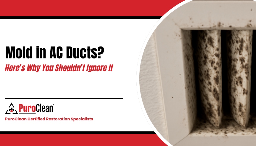 mold in AC ducts