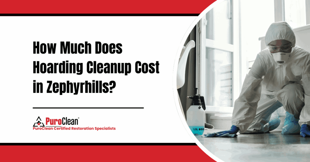 hoarding cleanup cost