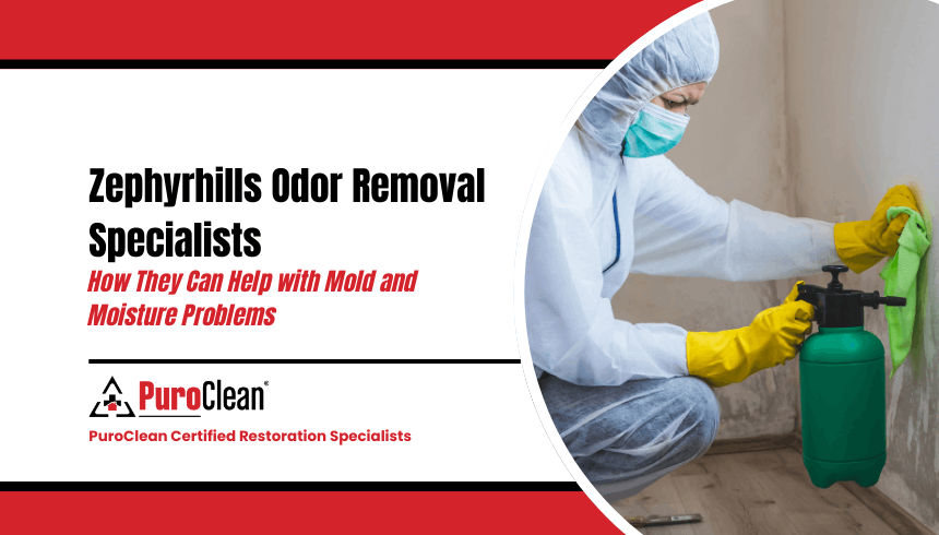 odor removal specialist